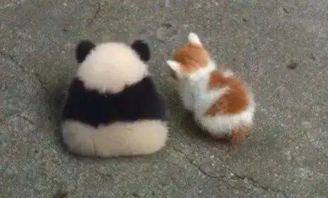 但愿人长久,千里共婵娟 但愿人长久,千里共婵娟