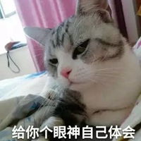  不屑表情包