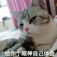 不屑表情包 不屑表情包