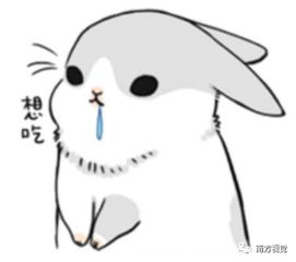  到韶关摘黄皮,满嘴都是酸酸甜甜初恋的味道