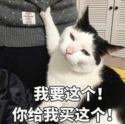  theworld表情包theworld微信表情包theworldqq表情包发表情fabiaoqing.com