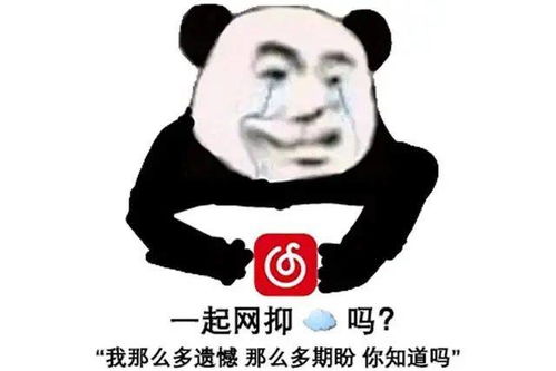  文案帮wen的个人展示页