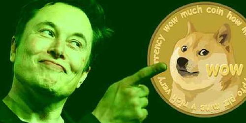  马斯克就比特币教父中本聪的身份提出了他的想法