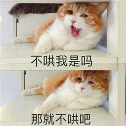  表情包我们绝交五分钟,快哄我