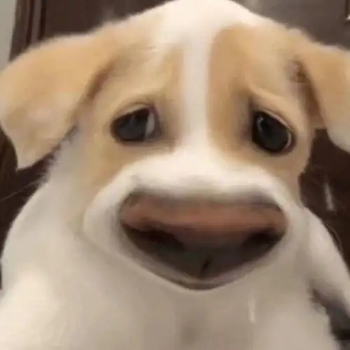 大三学姐在背后讲我坏话,结果发现我也在场 大三学姐在背后讲我坏话,结果发现我也在场