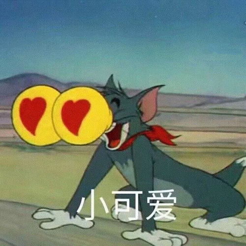  网易云热评如果人类有冬眠,我一整个冬天都要梦见你
