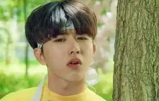 蔡徐坤发型表情包鬼畜沙