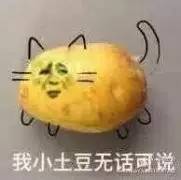  表情包我小土豆无话可说