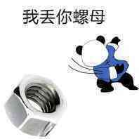 丢螺母表情包