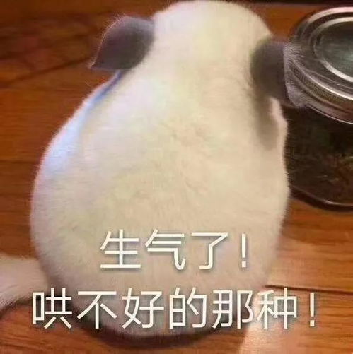  这甜甜的表情还不发给对象吗