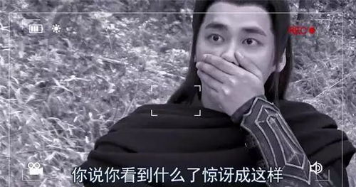 说走咱就走表情包李易峰