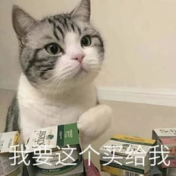  花三万买了一堆护肤品,就为了告诉你这六款最好用