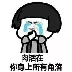  全是肉表情包