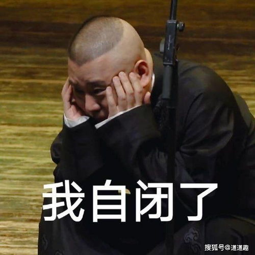  表情包系列第三期30张德云社搞笑图片