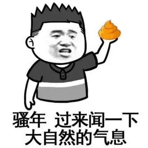  十条段子窝里霸也太不好听了,我是家霸
