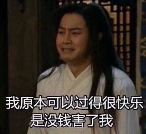  养猫后,我变成了低保户...