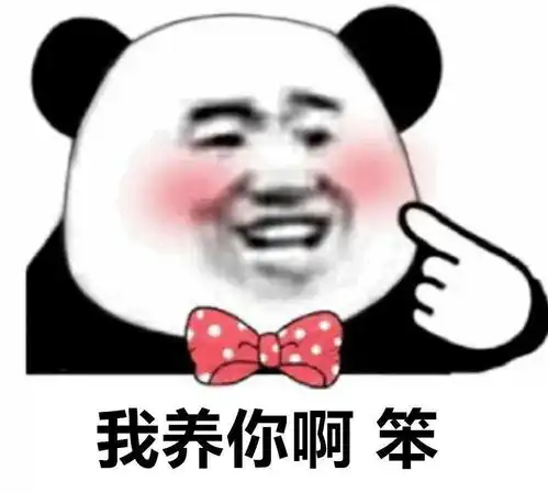  孙一宁王思聪聊天记录表情包,我命油我不油天
