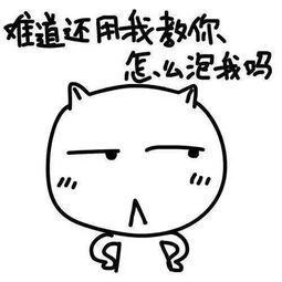 在不在套路表情包七夕