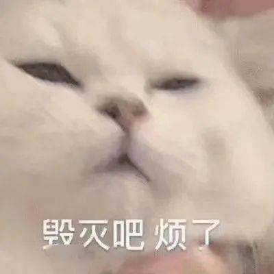  权志龙,你还记得大明湖畔的他吗