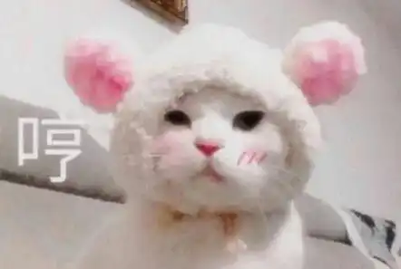 致萌新爱情的二三小事,我想和你唠唠 致萌新爱情的二三小事,我想和你唠唠