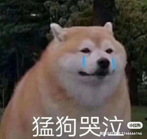  知乎用户fpcmtm的想法西安石油大学和河南理工大学哪个好呀