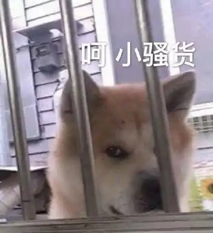 最新热门表情包动图片生气了,哄不好的那种 最新热门表情包动图片生气了,哄不好的那种