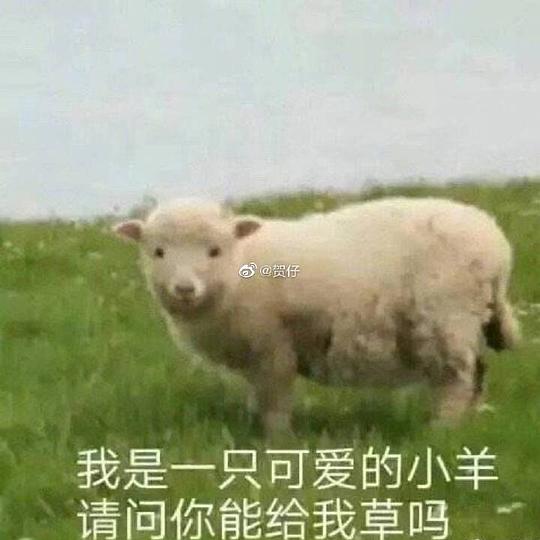 好运泡泡澡的相册沙雕表情包头像