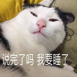  猫卖萌表情包