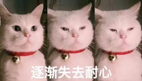  10.5到10.14台湾自由行求同行
