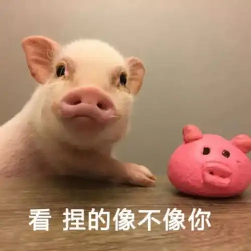 林允不仅管你皮肤水嫩,还管冬天防晒 林允不仅管你皮肤水嫩,还管冬天防晒