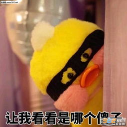  完了我写作业写瞎了搞笑图片让我看看是那个傻子表情包下载乐游网游戏下载
