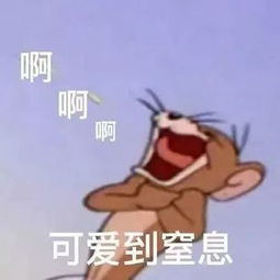  考研太苦了,这些表情包给你防身用