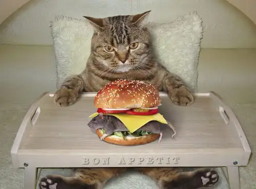 家猫经常吃素,却为何属于食肉动物家猫那是因为你不让我吃肉 家猫经常吃素,却为何属于食肉动物家猫那是因为你不让我吃肉