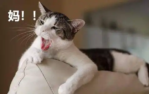 你爱用的微信表情包,暴露了真实的你 你爱用的微信表情包,暴露了真实的你