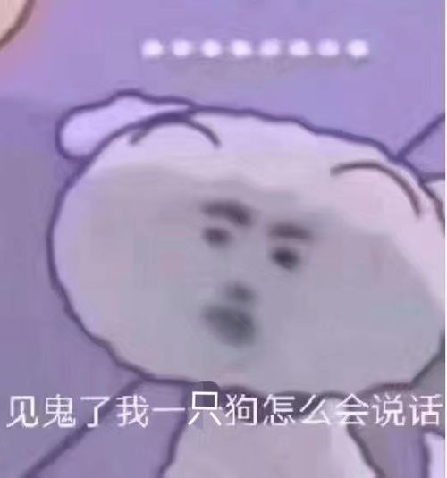  沙雕表情包清醒清醒吧你