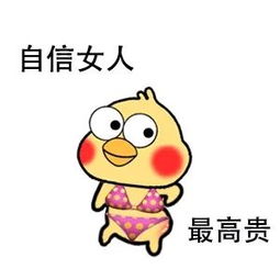  表情sir对新知识充满期待