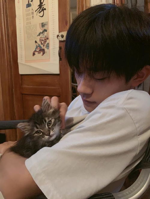 来我怀里表情包怀里