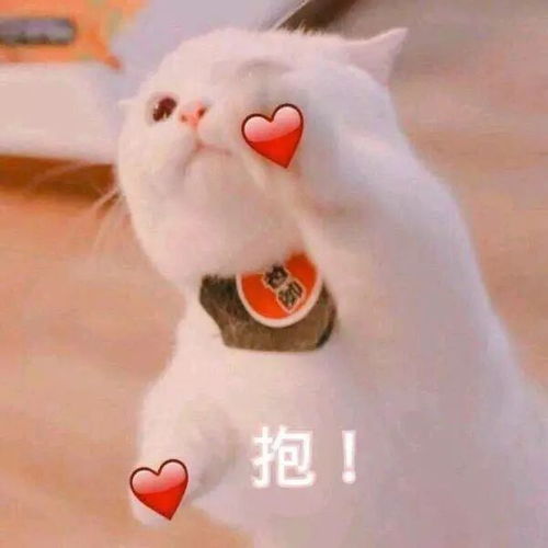  冬季超强靴子搭配攻略,赚足回头率