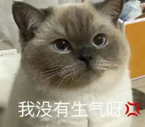 每日萌宠表情包分享18 每日萌宠表情包分享18