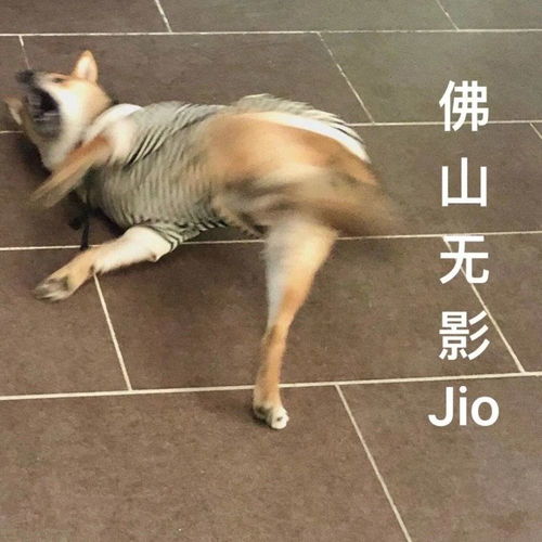  表情包丨嫌弃我了呗
