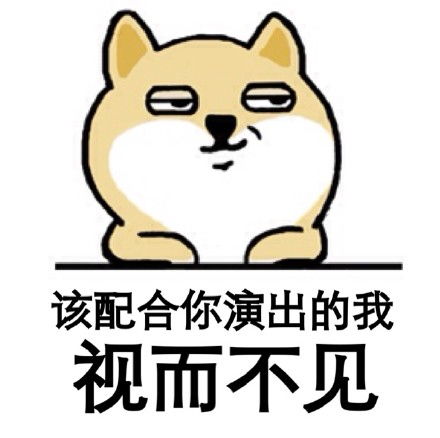  请开始你们的表演表情包