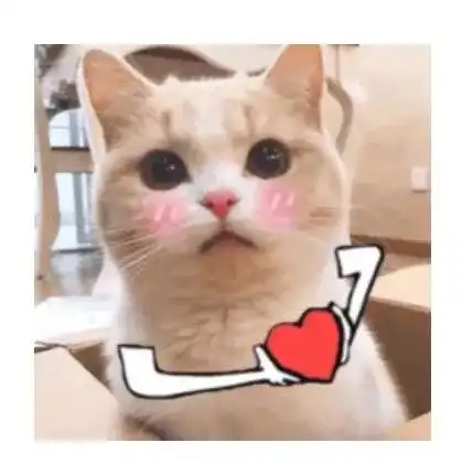 我们在冰天雪地的季节里为您真情守护 我们在冰天雪地的季节里为您真情守护