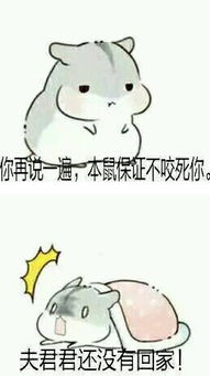  hamham仓鼠夫君表情包小仓鼠找夫君表情包最新完整版下载飞翔下载