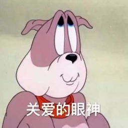  考研太苦了,只有这些表情包才能救我