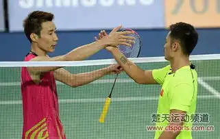 羽毛球知识如何观看羽毛球赛事直播 羽毛球知识如何观看羽毛球赛事直播