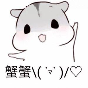  求艾青诗选里最短的15首诗,和其中5首的赏析