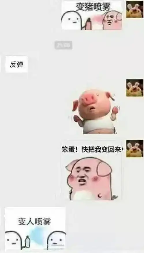 对方不和想你聊天,并给你丢了一个表情包 对方不和想你聊天,并给你丢了一个表情包