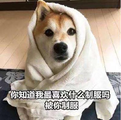 一只狗有这些行为,其实已经在恨你了,现在知道还不晚