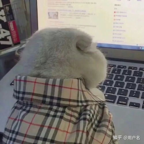 权志龙表情包搞笑沙雕脑