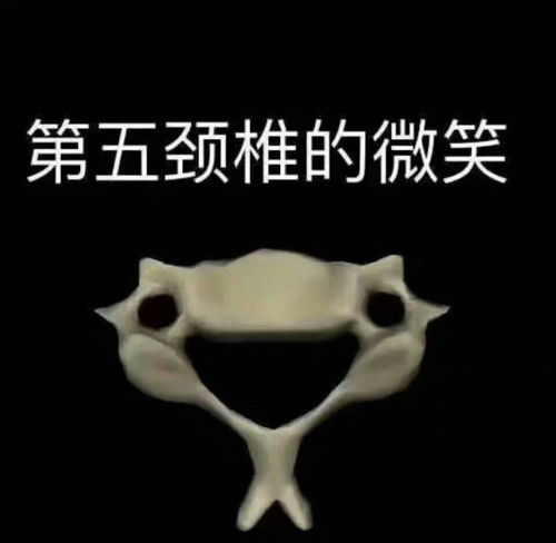  高中母校比大学有名是一种什么样的体验